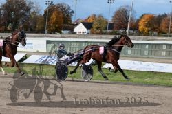 Dateiname=20251026_r02_133_R02_0416.jpg
Dateigröße=322KB
Abmessungen: 1000x667
hinzugefügt am: 27. Oktober 2025 20251026_r02_133_R02_0416.jpg