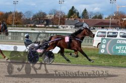 Dateiname=20251026_r02_136_R02_0423.jpg
Dateigröße=312KB
Abmessungen: 1000x667
hinzugefügt am: 27. Oktober 2025 20251026_r02_136_R02_0423.jpg