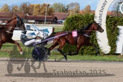 Dateiname=20251026_r02_139_R02_0433.jpg
Dateigröße=337KB
Abmessungen: 1000x667
hinzugefügt am: 27. Oktober 2025 20251026_r02_139_R02_0433.jpg