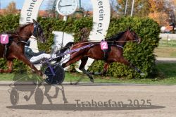 Dateiname=20251026_r02_141_R02_0437.jpg
Dateigröße=351KB
Abmessungen: 1000x667
hinzugefügt am: 27. Oktober 2025 20251026_r02_141_R02_0437.jpg