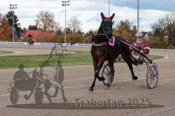 Dateiname=20251026_r03_001_R03_0005.jpg
Dateigröße=314KB
Abmessungen: 1000x667
hinzugefügt am: 27. Oktober 2025 20251026_r03_001_R03_0005.jpg