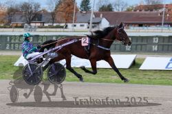 Dateiname=20251026_r03_006_R03_0022.jpg
Dateigröße=290KB
Abmessungen: 1000x667
hinzugefügt am: 27. Oktober 2025 20251026_r03_006_R03_0022.jpg