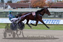 Dateiname=20251026_r03_007_R03_0025.jpg
Dateigröße=293KB
Abmessungen: 1000x667
hinzugefügt am: 27. Oktober 2025 20251026_r03_007_R03_0025.jpg