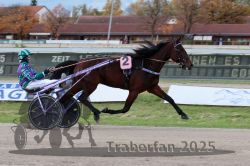 Dateiname=20251026_r03_008_R03_0028.jpg
Dateigröße=280KB
Abmessungen: 1000x667
hinzugefügt am: 27. Oktober 2025 20251026_r03_008_R03_0028.jpg