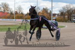 Dateiname=20251026_r03_010_R03_0030.jpg
Dateigröße=316KB
Abmessungen: 1000x667
hinzugefügt am: 27. Oktober 2025 20251026_r03_010_R03_0030.jpg