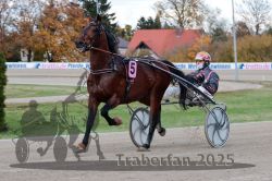 Dateiname=20251026_r03_012_R03_0043.jpg
Dateigröße=309KB
Abmessungen: 1000x667
hinzugefügt am: 27. Oktober 2025 20251026_r03_012_R03_0043.jpg