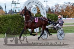 Dateiname=20251026_r03_013_R03_0050.jpg
Dateigröße=316KB
Abmessungen: 1000x667
hinzugefügt am: 27. Oktober 2025 20251026_r03_013_R03_0050.jpg