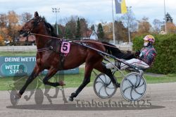 Dateiname=20251026_r03_014_R03_0058.jpg
Dateigröße=304KB
Abmessungen: 1000x667
hinzugefügt am: 27. Oktober 2025 20251026_r03_014_R03_0058.jpg