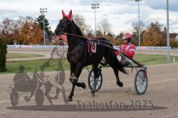 Dateiname=20251026_r03_015_R03_0061.jpg
Dateigröße=290KB
Abmessungen: 1000x667
hinzugefügt am: 27. Oktober 2025 20251026_r03_015_R03_0061.jpg