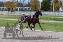 Dateiname=20251026_r03_017_R03_0072.jpg
Dateigröße=321KB
Abmessungen: 1000x667
hinzugefügt am: 27. Oktober 2025 20251026_r03_017_R03_0072.jpg