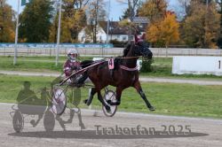 Dateiname=20251026_r03_019_R03_0079.jpg
Dateigröße=313KB
Abmessungen: 1000x667
hinzugefügt am: 27. Oktober 2025 20251026_r03_019_R03_0079.jpg