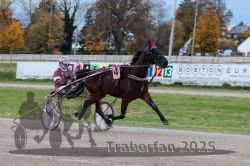 Dateiname=20251026_r03_022_R03_0086.jpg
Dateigröße=303KB
Abmessungen: 1000x667
hinzugefügt am: 27. Oktober 2025 20251026_r03_022_R03_0086.jpg