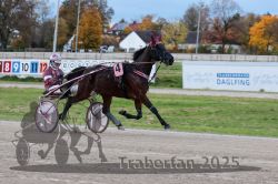 Dateiname=20251026_r03_023_R03_0090.jpg
Dateigröße=307KB
Abmessungen: 1000x667
hinzugefügt am: 27. Oktober 2025 20251026_r03_023_R03_0090.jpg