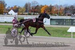 Dateiname=20251026_r03_024_R03_0093.jpg
Dateigröße=295KB
Abmessungen: 1000x667
hinzugefügt am: 27. Oktober 2025 20251026_r03_024_R03_0093.jpg