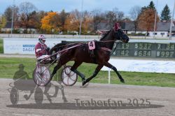 Dateiname=20251026_r03_025_R03_0096.jpg
Dateigröße=292KB
Abmessungen: 1000x667
hinzugefügt am: 27. Oktober 2025 20251026_r03_025_R03_0096.jpg