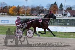 Dateiname=20251026_r03_026_R03_0097.jpg
Dateigröße=284KB
Abmessungen: 1000x667
hinzugefügt am: 27. Oktober 2025 20251026_r03_026_R03_0097.jpg