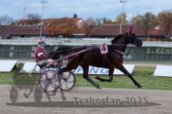 Dateiname=20251026_r03_029_R03_0104.jpg
Dateigröße=264KB
Abmessungen: 1000x667
hinzugefügt am: 27. Oktober 2025 20251026_r03_029_R03_0104.jpg