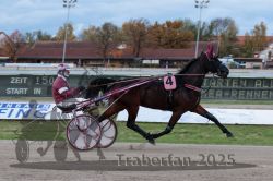 Dateiname=20251026_r03_030_R03_0107.jpg
Dateigröße=270KB
Abmessungen: 1000x667
hinzugefügt am: 27. Oktober 2025 20251026_r03_030_R03_0107.jpg