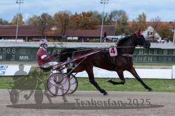 Dateiname=20251026_r03_031_R03_0108.jpg
Dateigröße=271KB
Abmessungen: 1000x667
hinzugefügt am: 27. Oktober 2025 20251026_r03_031_R03_0108.jpg