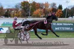 Dateiname=20251026_r03_033_R03_0115.jpg
Dateigröße=285KB
Abmessungen: 1000x667
hinzugefügt am: 27. Oktober 2025 20251026_r03_033_R03_0115.jpg