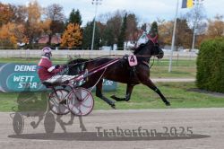 Dateiname=20251026_r03_034_R03_0118.jpg
Dateigröße=297KB
Abmessungen: 1000x667
hinzugefügt am: 27. Oktober 2025 20251026_r03_034_R03_0118.jpg