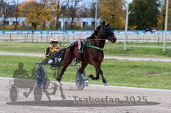 Dateiname=20251026_r03_035_R03_0124.jpg
Dateigröße=306KB
Abmessungen: 1000x667
hinzugefügt am: 27. Oktober 2025 20251026_r03_035_R03_0124.jpg