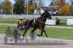 Dateiname=20251026_r03_037_R03_0131.jpg
Dateigröße=309KB
Abmessungen: 1000x667
hinzugefügt am: 27. Oktober 2025 20251026_r03_037_R03_0131.jpg