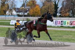 Dateiname=20251026_r03_038_R03_0135.jpg
Dateigröße=305KB
Abmessungen: 1000x667
hinzugefügt am: 27. Oktober 2025 20251026_r03_038_R03_0135.jpg