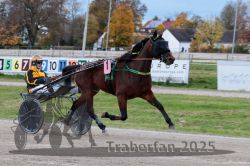 Dateiname=20251026_r03_040_R03_0142.jpg
Dateigröße=300KB
Abmessungen: 1000x667
hinzugefügt am: 27. Oktober 2025 20251026_r03_040_R03_0142.jpg