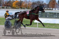 Dateiname=20251026_r03_042_R03_0149.jpg
Dateigröße=307KB
Abmessungen: 1000x667
hinzugefügt am: 27. Oktober 2025 20251026_r03_042_R03_0149.jpg