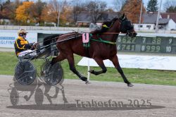 Dateiname=20251026_r03_043_R03_0150.jpg
Dateigröße=296KB
Abmessungen: 1000x667
hinzugefügt am: 27. Oktober 2025 20251026_r03_043_R03_0150.jpg