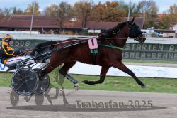 Dateiname=20251026_r03_046_R03_0160.jpg
Dateigröße=291KB
Abmessungen: 1000x667
hinzugefügt am: 27. Oktober 2025 20251026_r03_046_R03_0160.jpg