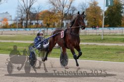 Dateiname=20251026_r03_049_R03_0166.jpg
Dateigröße=295KB
Abmessungen: 1000x667
hinzugefügt am: 27. Oktober 2025 20251026_r03_049_R03_0166.jpg