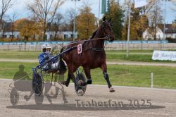 Dateiname=20251026_r03_050_R03_0169.jpg
Dateigröße=312KB
Abmessungen: 1000x667
hinzugefügt am: 27. Oktober 2025 20251026_r03_050_R03_0169.jpg