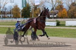 Dateiname=20251026_r03_051_R03_0173.jpg
Dateigröße=342KB
Abmessungen: 1000x667
hinzugefügt am: 27. Oktober 2025 20251026_r03_051_R03_0173.jpg