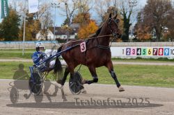 Dateiname=20251026_r03_052_R03_0177.jpg
Dateigröße=330KB
Abmessungen: 1000x667
hinzugefügt am: 27. Oktober 2025 20251026_r03_052_R03_0177.jpg