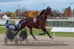 Dateiname=20251026_r03_055_R03_0189.jpg
Dateigröße=280KB
Abmessungen: 1000x667
hinzugefügt am: 27. Oktober 2025 20251026_r03_055_R03_0189.jpg