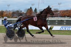 Dateiname=20251026_r03_057_R03_0193.jpg
Dateigröße=276KB
Abmessungen: 1000x667
hinzugefügt am: 27. Oktober 2025 20251026_r03_057_R03_0193.jpg