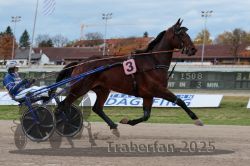 Dateiname=20251026_r03_058_R03_0196.jpg
Dateigröße=269KB
Abmessungen: 1000x667
hinzugefügt am: 27. Oktober 2025 20251026_r03_058_R03_0196.jpg