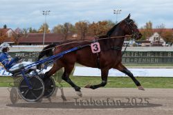 Dateiname=20251026_r03_059_R03_0200.jpg
Dateigröße=267KB
Abmessungen: 1000x667
hinzugefügt am: 27. Oktober 2025 20251026_r03_059_R03_0200.jpg