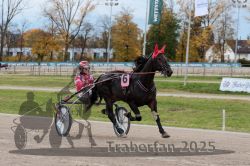 Dateiname=20251026_r03_060_R03_0201.jpg
Dateigröße=325KB
Abmessungen: 1000x667
hinzugefügt am: 27. Oktober 2025 20251026_r03_060_R03_0201.jpg