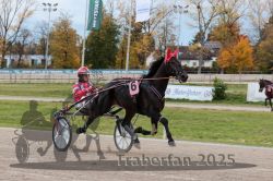 Dateiname=20251026_r03_061_R03_0204.jpg
Dateigröße=335KB
Abmessungen: 1000x667
hinzugefügt am: 27. Oktober 2025 20251026_r03_061_R03_0204.jpg