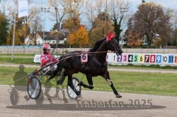 Dateiname=20251026_r03_062_R03_0208.jpg
Dateigröße=346KB
Abmessungen: 1000x667
hinzugefügt am: 27. Oktober 2025 20251026_r03_062_R03_0208.jpg