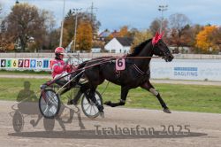 Dateiname=20251026_r03_064_R03_0215.jpg
Dateigröße=280KB
Abmessungen: 1000x667
hinzugefügt am: 27. Oktober 2025 20251026_r03_064_R03_0215.jpg