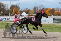 Dateiname=20251026_r03_065_R03_0216.jpg
Dateigröße=279KB
Abmessungen: 1000x667
hinzugefügt am: 27. Oktober 2025 20251026_r03_065_R03_0216.jpg