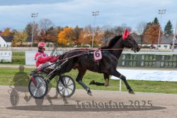 Dateiname=20251026_r03_066_R03_0219.jpg
Dateigröße=275KB
Abmessungen: 1000x667
hinzugefügt am: 27. Oktober 2025 20251026_r03_066_R03_0219.jpg