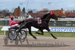 Dateiname=20251026_r03_067_R03_0223.jpg
Dateigröße=273KB
Abmessungen: 1000x667
hinzugefügt am: 27. Oktober 2025 20251026_r03_067_R03_0223.jpg