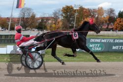 Dateiname=20251026_r03_071_R03_0234.jpg
Dateigröße=277KB
Abmessungen: 1000x667
hinzugefügt am: 27. Oktober 2025 20251026_r03_071_R03_0234.jpg