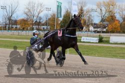 Dateiname=20251026_r03_072_R03_0239.jpg
Dateigröße=334KB
Abmessungen: 1000x667
hinzugefügt am: 27. Oktober 2025 20251026_r03_072_R03_0239.jpg