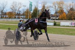 Dateiname=20251026_r03_073_R03_0240.jpg
Dateigröße=319KB
Abmessungen: 1000x667
hinzugefügt am: 27. Oktober 2025 20251026_r03_073_R03_0240.jpg